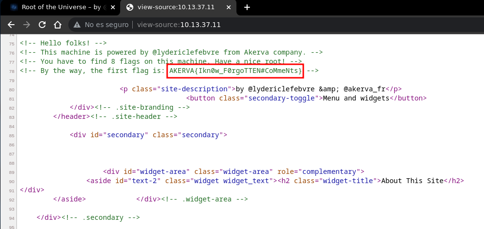 HTML source — the AKERVA{...} flag visible inside an HTML comment